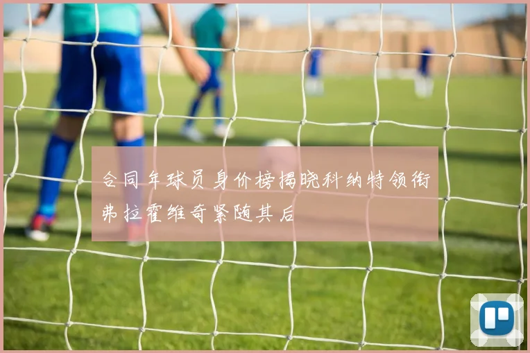 合同年球员身价榜揭晓科纳特领衔弗拉霍维奇紧随其后