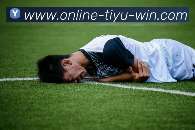 在线体育博彩平台生态图