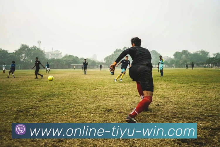 在线体育博彩APP 封面图